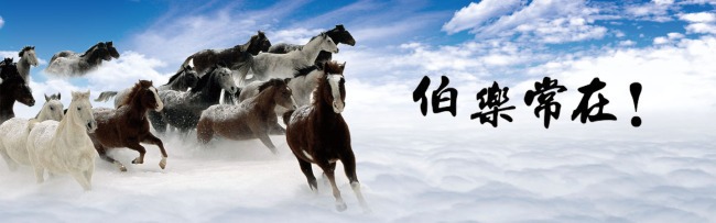 20161123101531_40573 28圈-28圈官方网站-相信品牌的力量