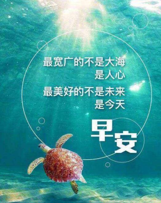 28圈-28圈官方网站-相信品牌的力量