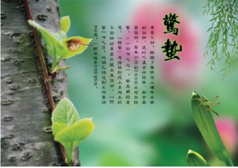 20200305102748_94300 28圈-28圈官方网站-相信品牌的力量
