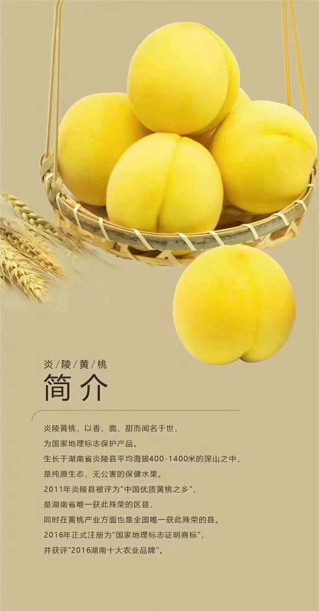 28圈-28圈官方网站-相信品牌的力量